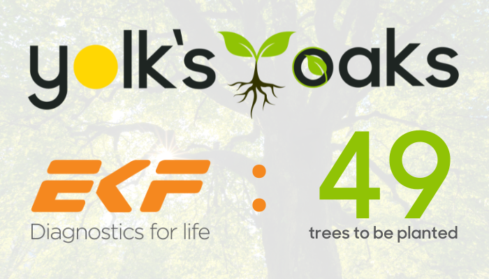 Ekf Yolks Oaks Blog