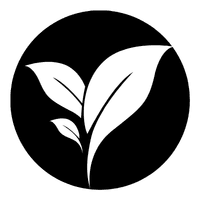 Image 2026 02 18 T12 27 27